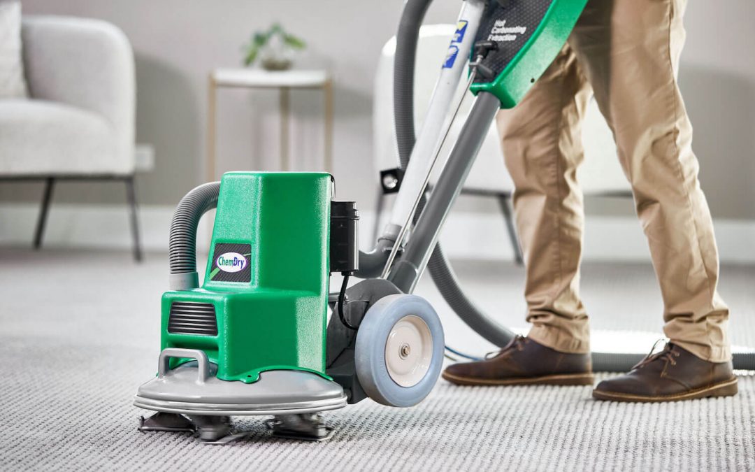 5 Things To Look For In A Carpet Cleaning Company
