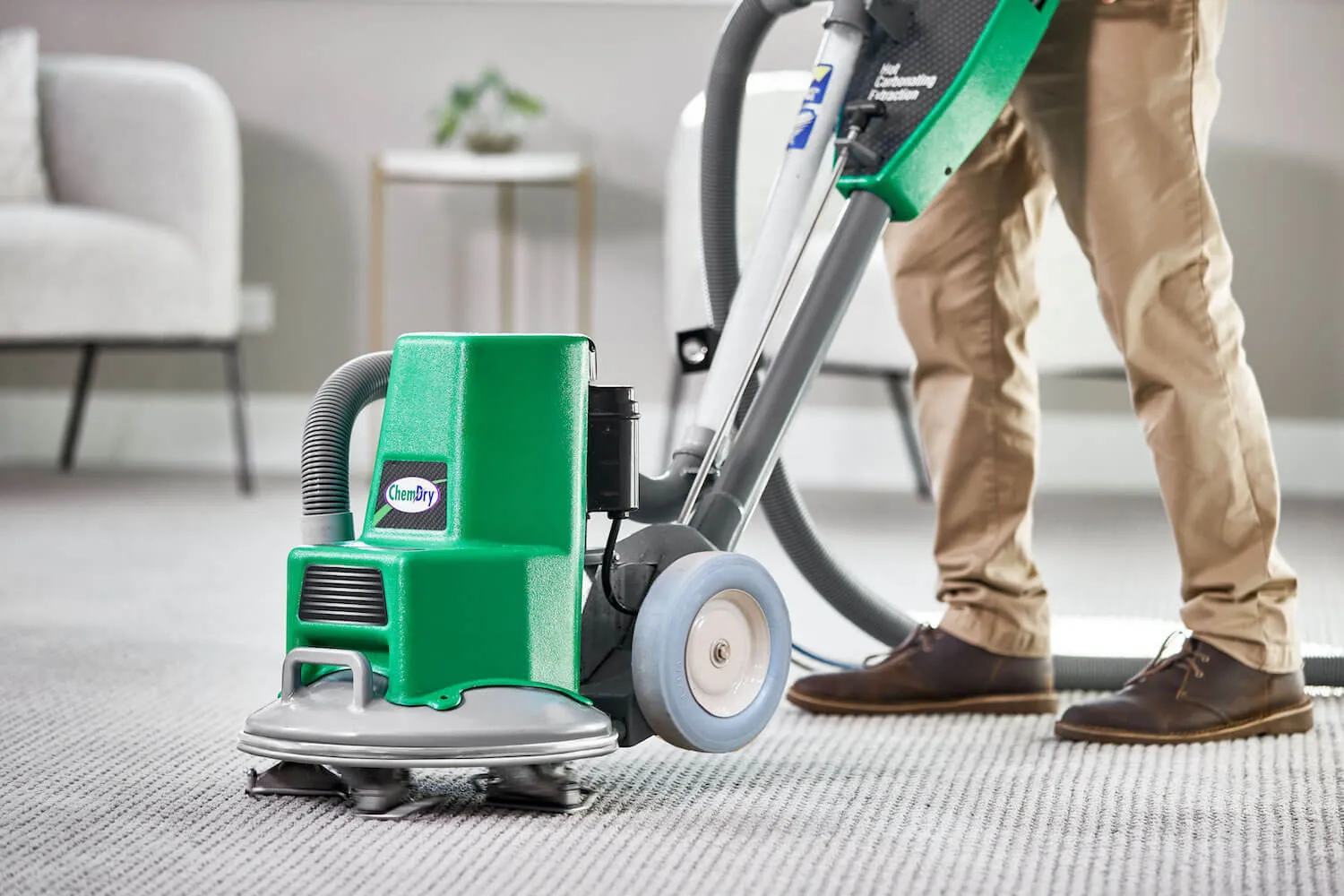 5 Things To Look For In A Carpet Cleaning Company