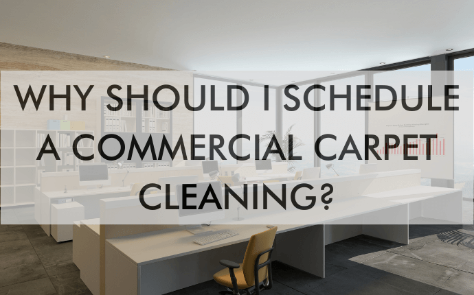 Why Should I Schedule a Commercial Carpet Cleaning?