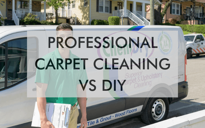 Professional Carpet Cleaning VS DIY