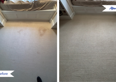 carpet stain removal in the front room of a wilmington home