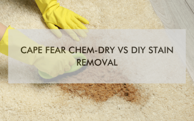 Cape Fear Chem-Dry Vs DIY Stain Removal